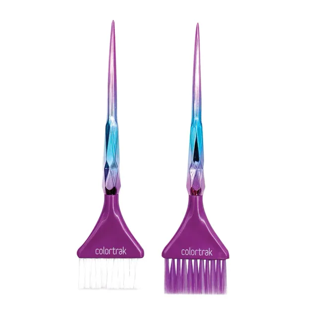 Colortrak Aurora Assorted Hair Color Brushes 2-Piece Set Metallic